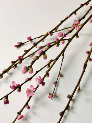 DE6BB82B-16B6-47E1-9880-1FFF4FFBC1D5