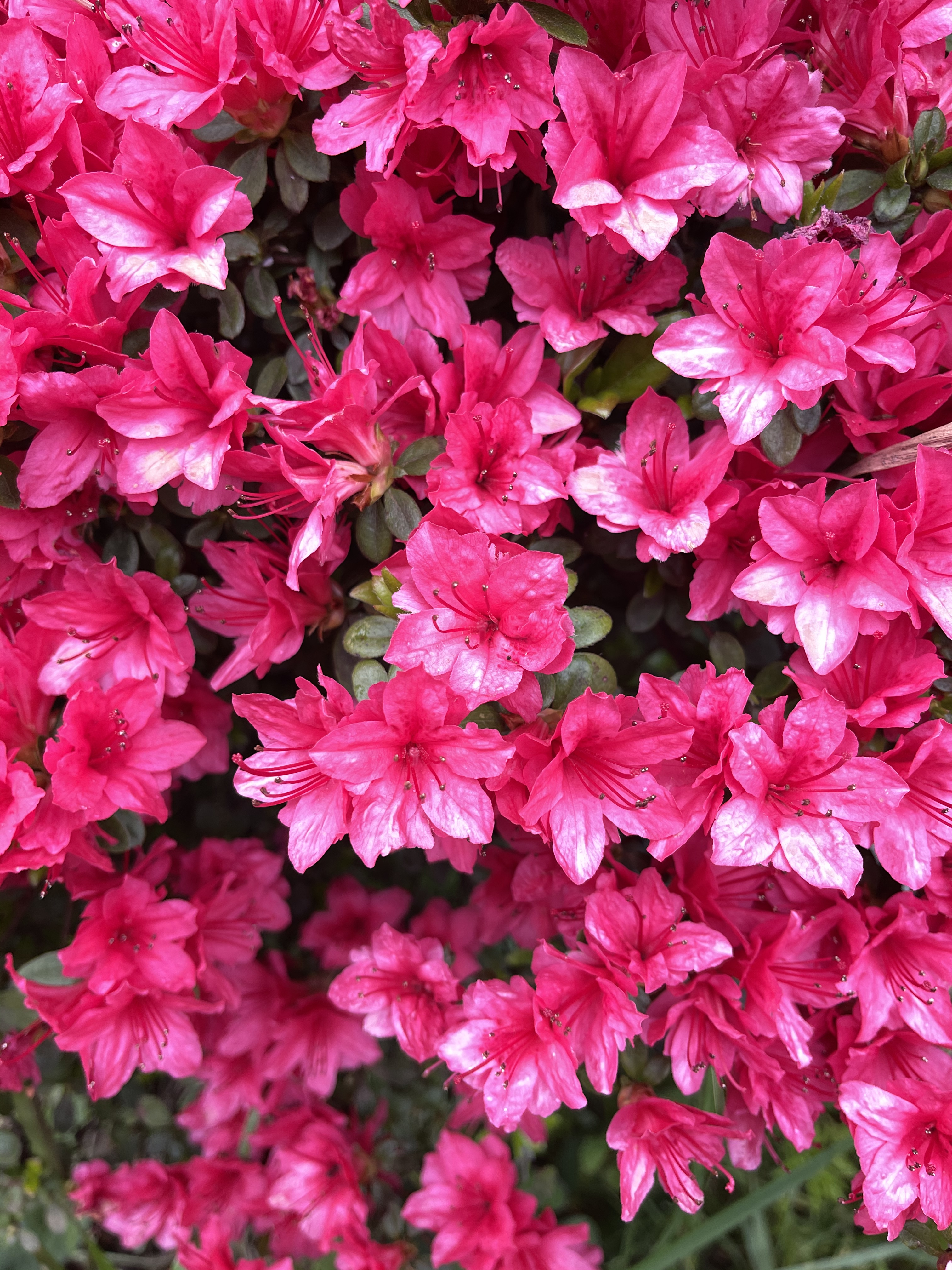 1B2FF12B-8F80-45D9-90FC-26A75BFD6C14