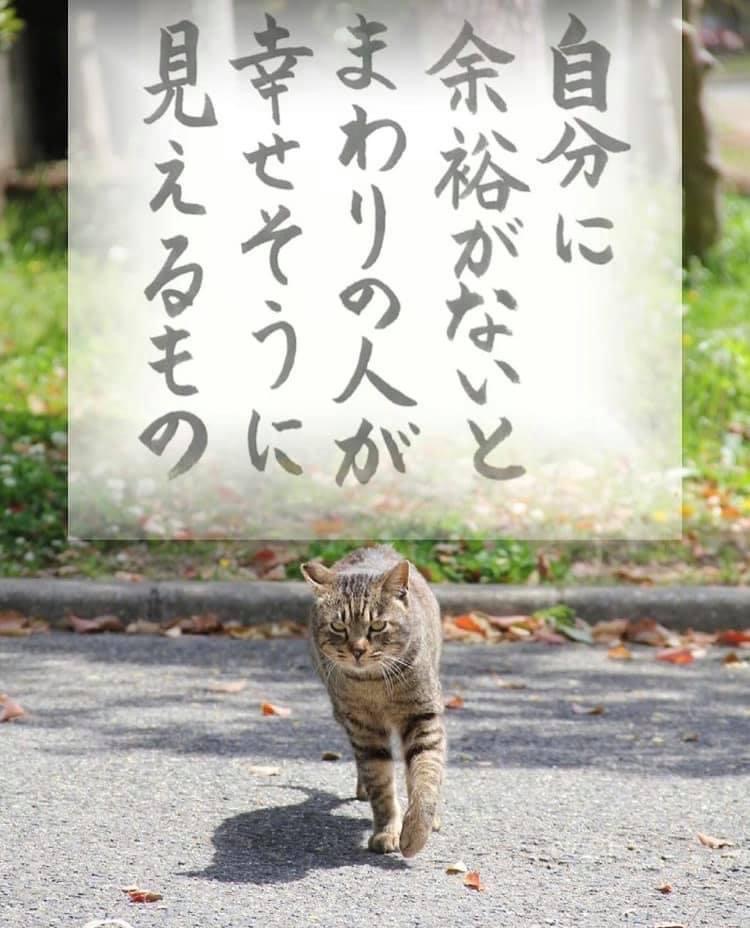 BBED4D5C-AB60-4EE0-99BB-056D13C02B43