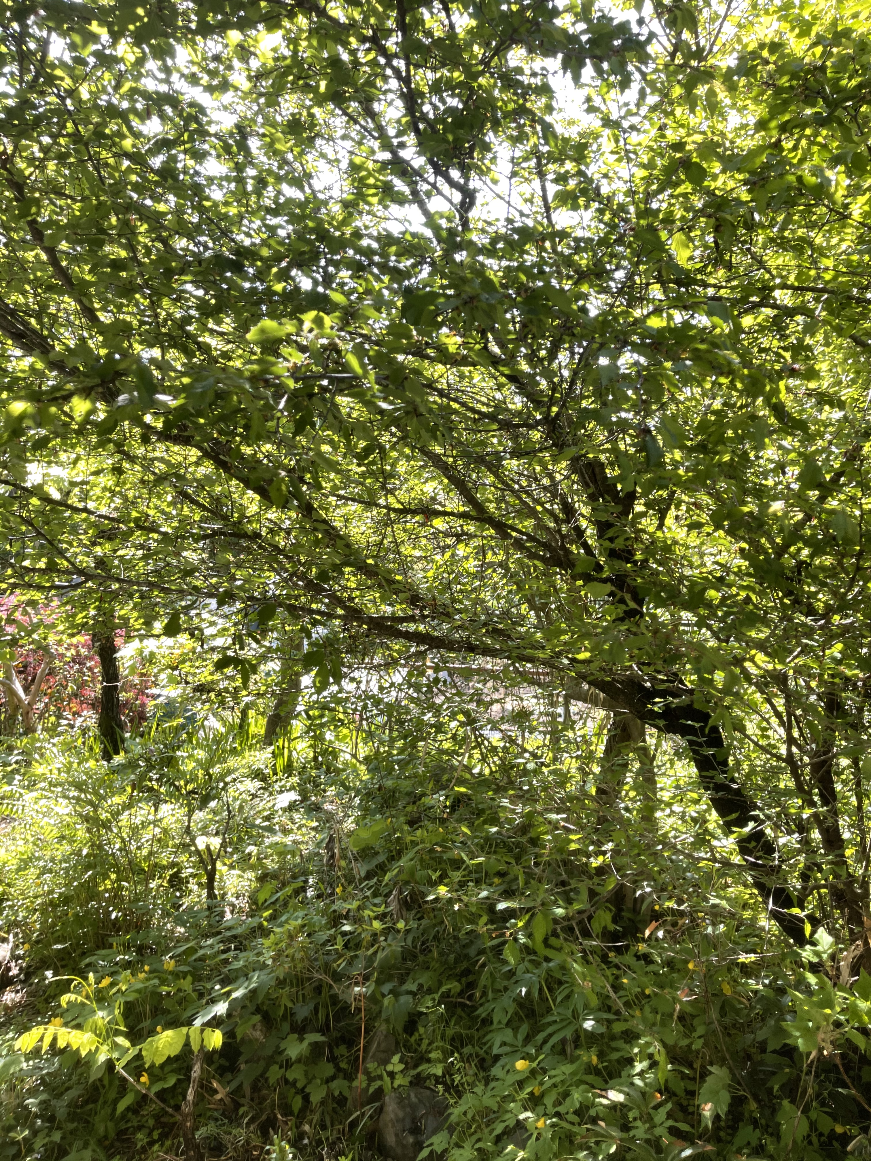 E0737E8A-5731-4E74-88D6-5D6A37AD3C76