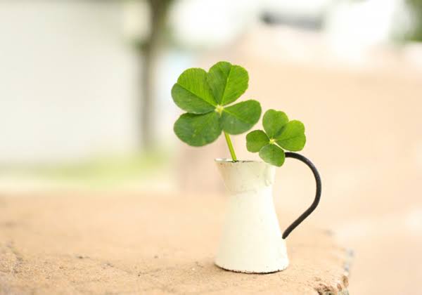 19FC45C2-772F-443B-8B04-AAF1DBE472A3