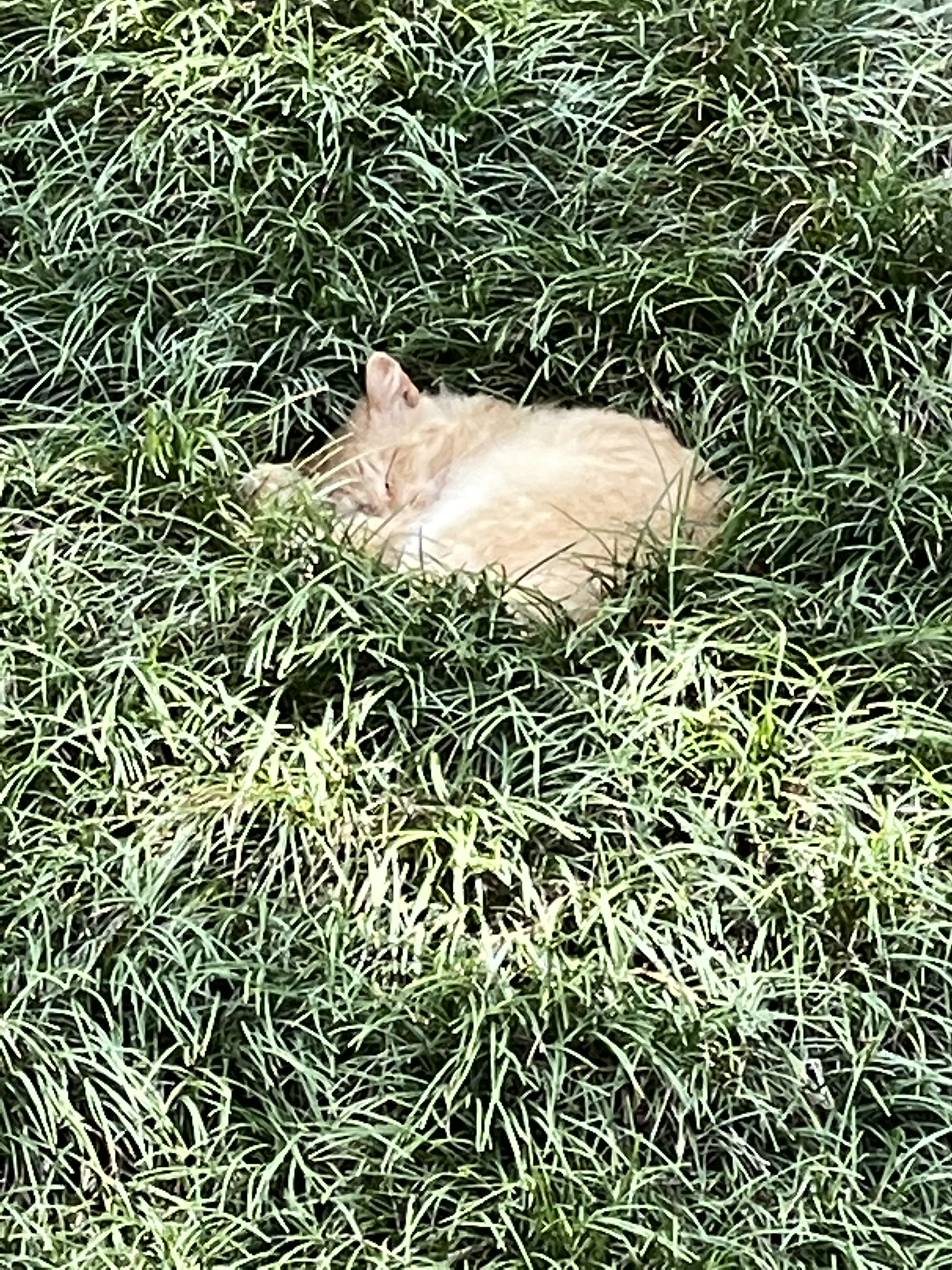 25198429-EE5C-47ED-A4E8-B19DF4BFED72