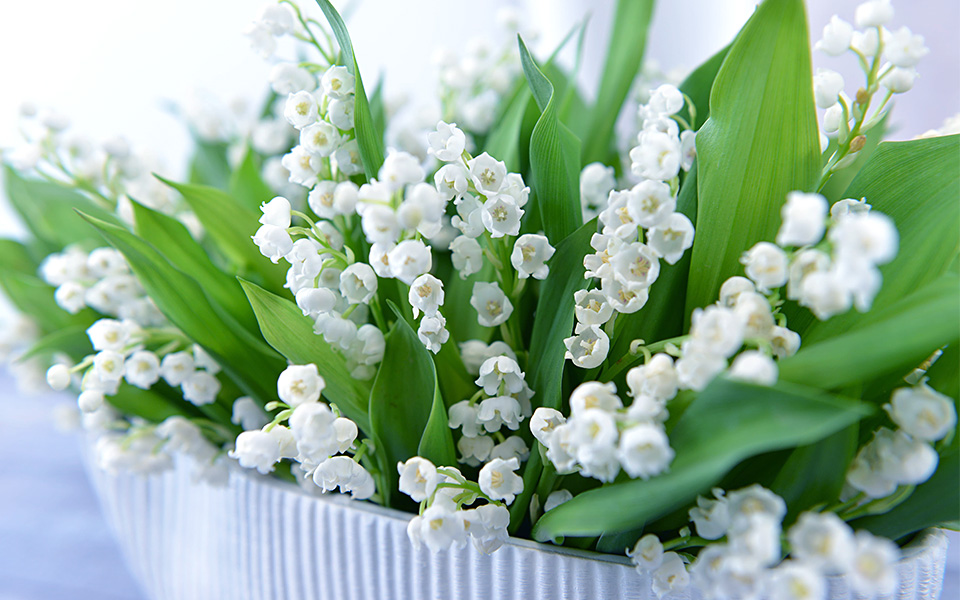 527D704A-816C-416E-86D7-ACB70CE5EDB3