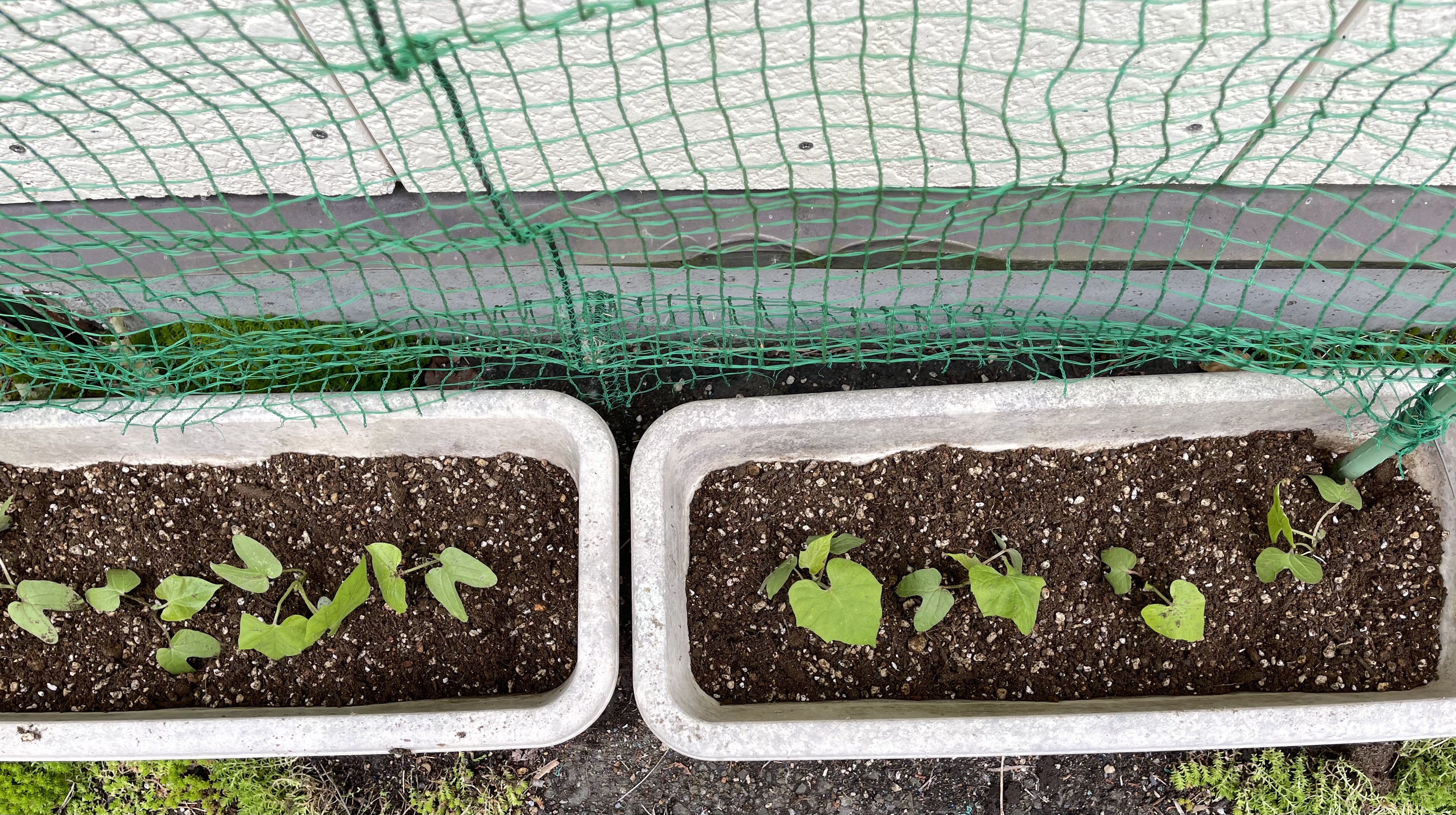 54C98221-F20A-4E3F-A2A0-9993F7017700