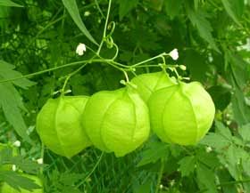 6D143938-F55F-4243-B37D-714CF7BBA031