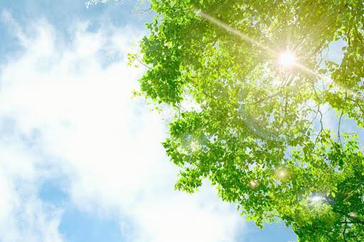 93E3685D-5E4D-4A70-9C2F-C285580100B6