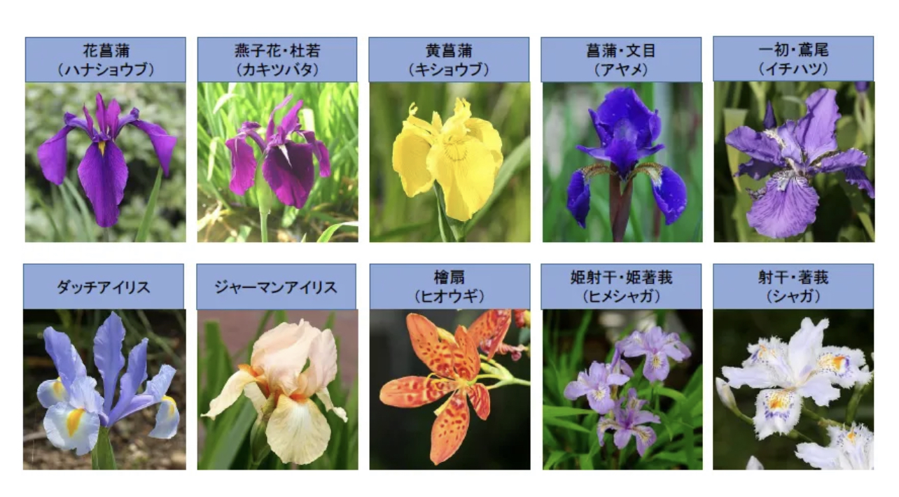 95763CD7-A7F1-49B2-AF9E-9A269CE4815B