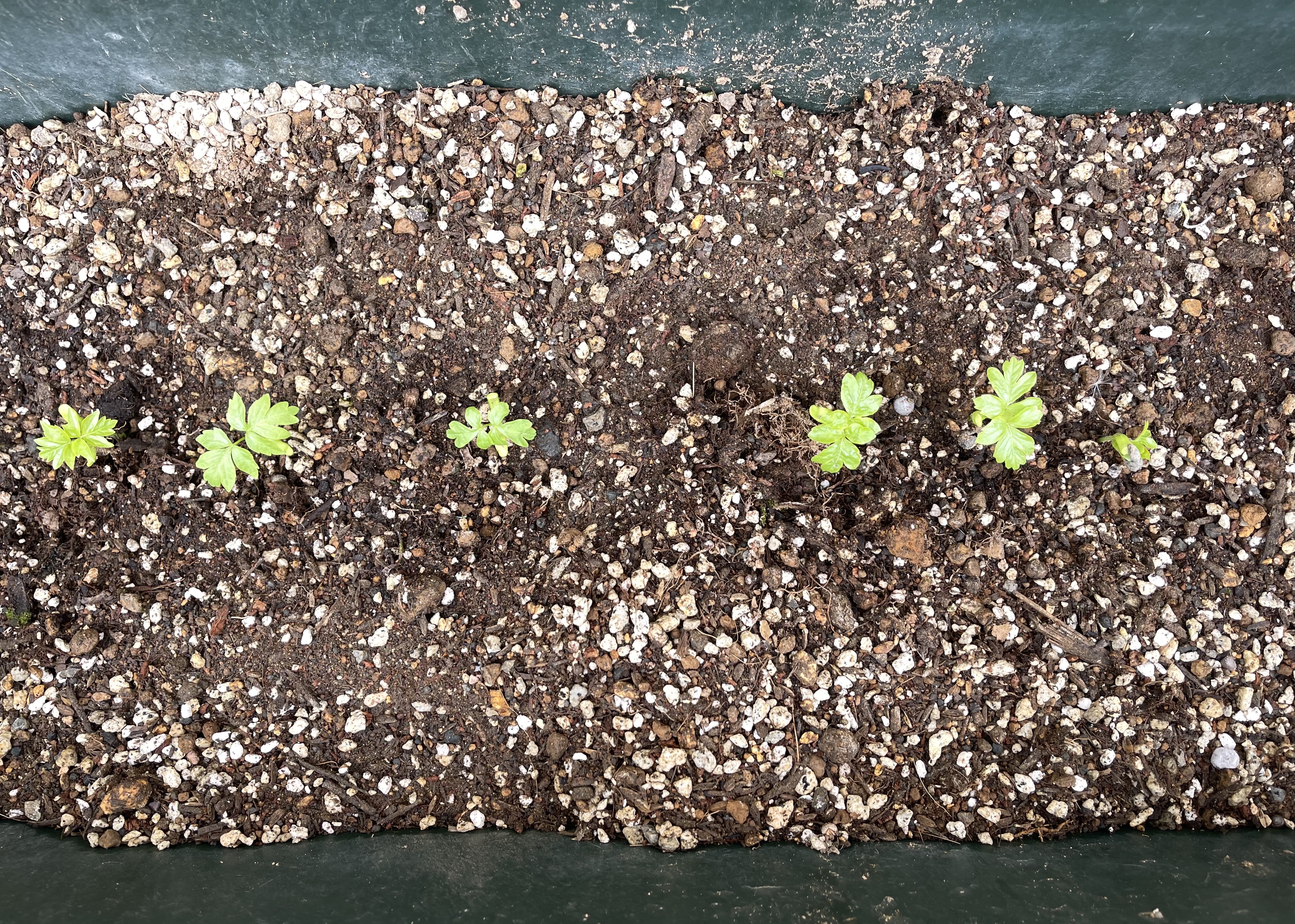 9B0F04AB-D47E-47FD-9D02-EC10ED929312