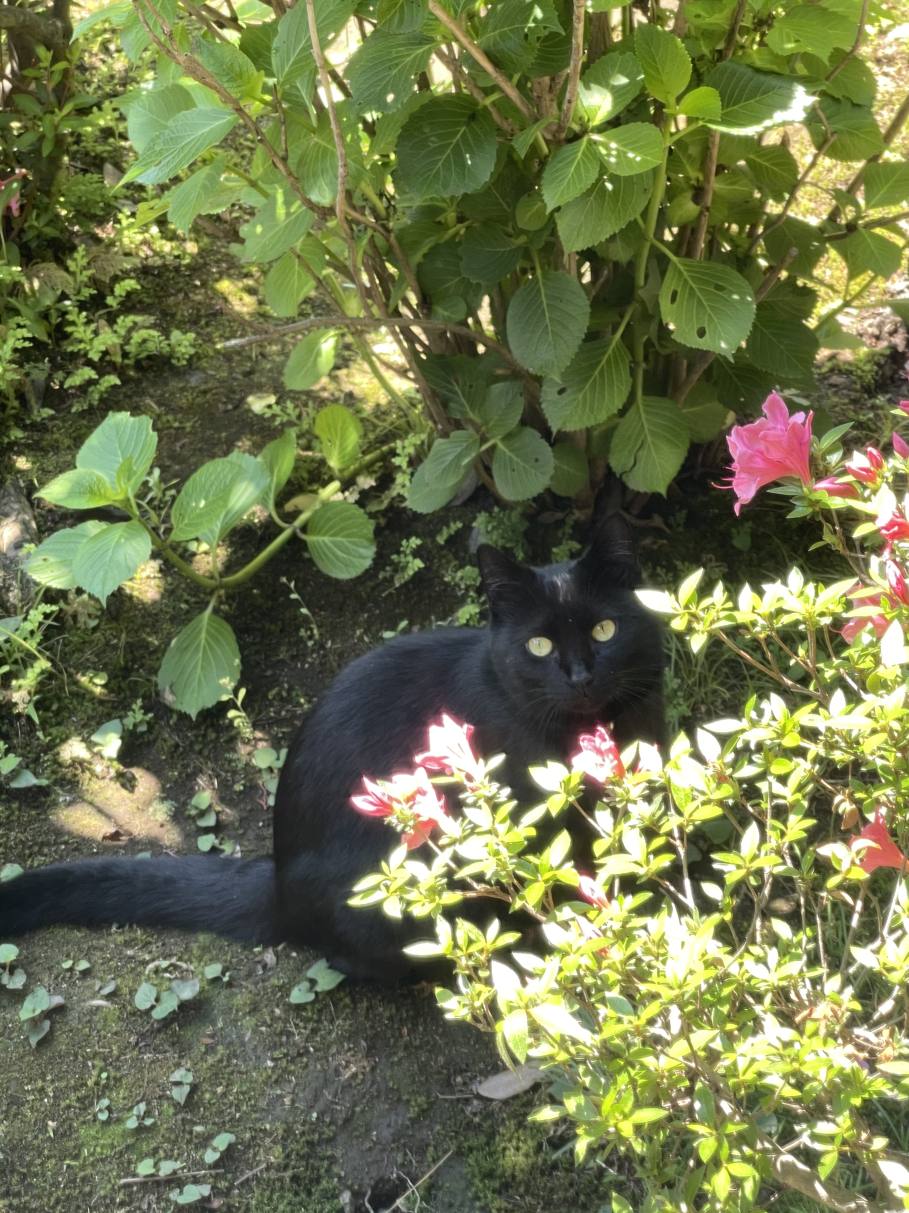 C90DBB7F-D1D9-49F0-81FF-846258EC85BC