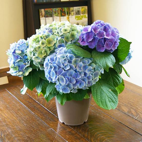 CFCF39E3-4A48-46B2-A996-B1BB852B52B8