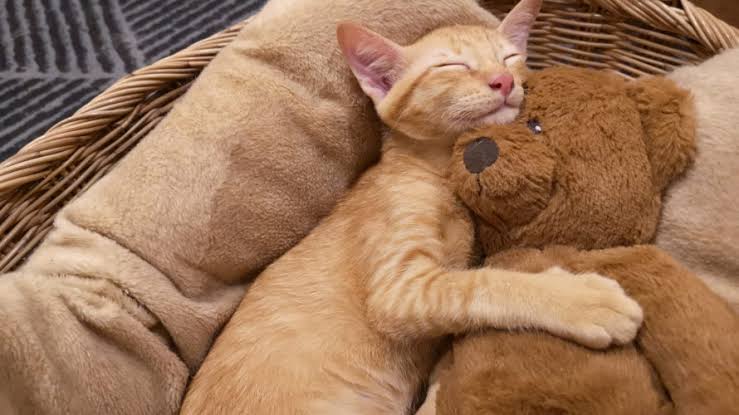 0A204354-C999-428F-A364-DFB6AE9AF8D8