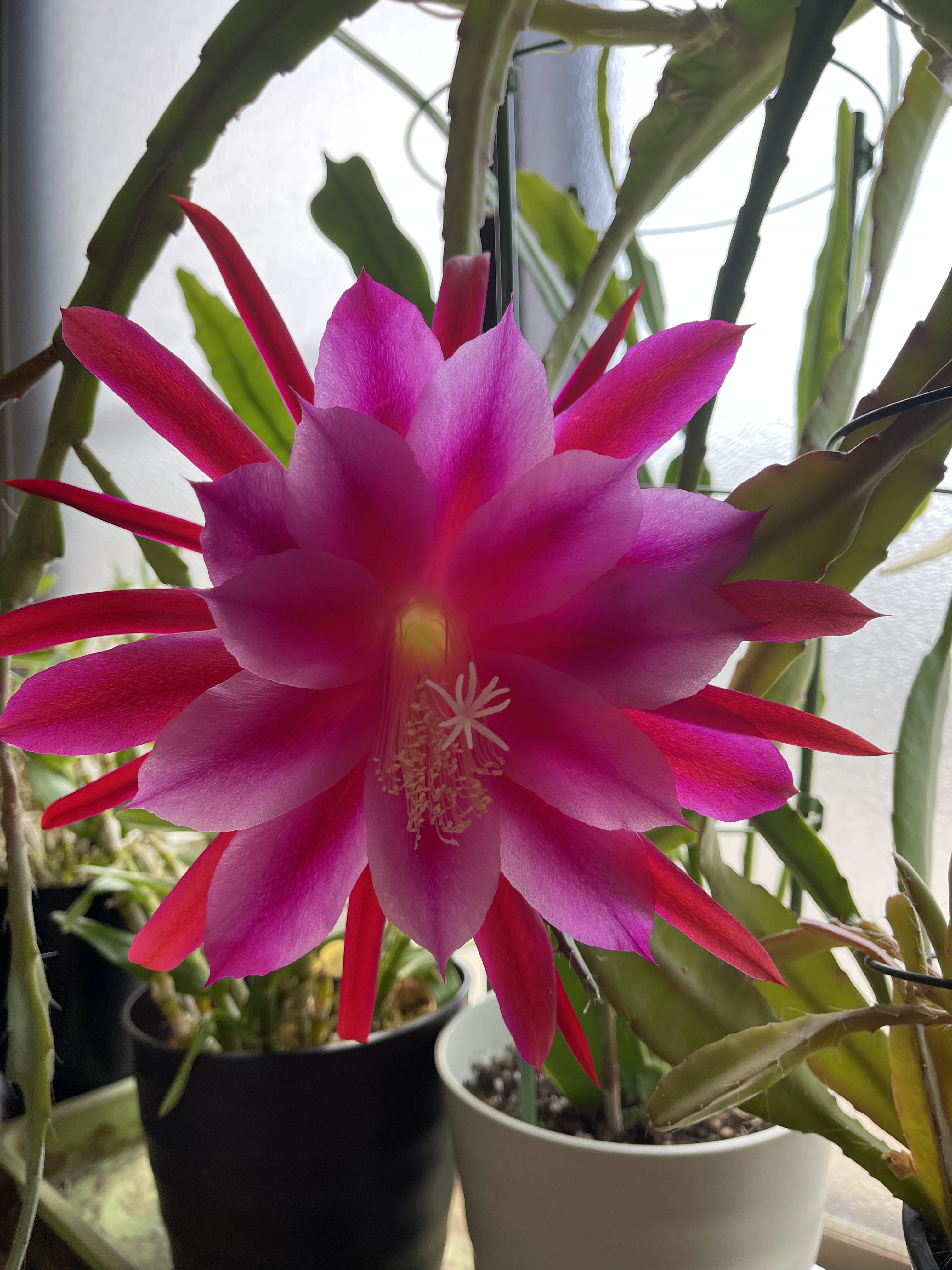 3581DEBA-23A6-4333-8EB1-67AC18005AF9