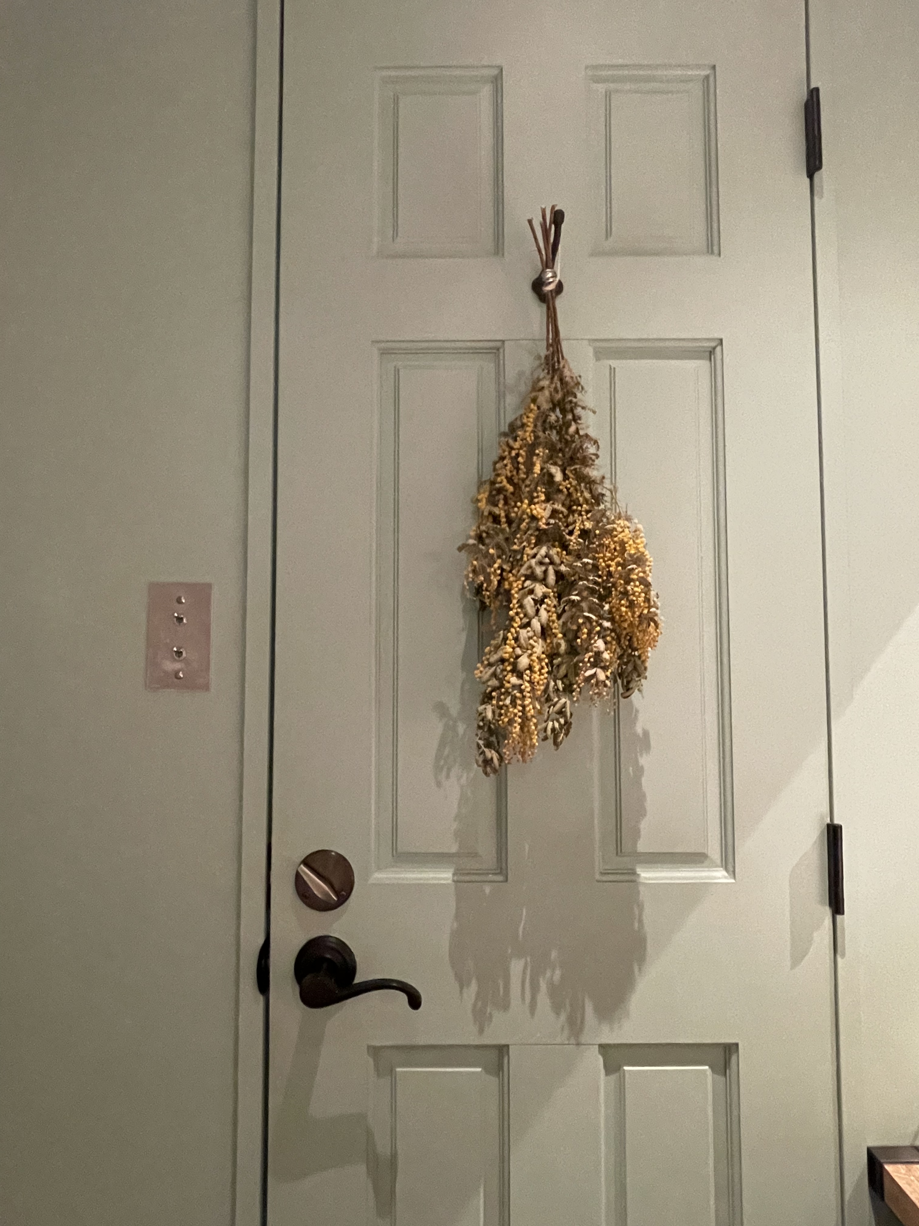 3C01E7B9-FD7F-4D4A-B729-234C67076602