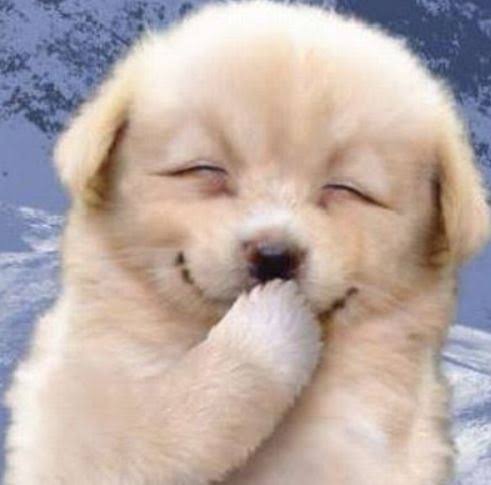 63F56403-6B7E-46FD-A90D-77C9807A6E00