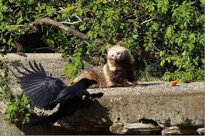 6FAB4094-2F98-4A46-8F46-CAAA64C5AD47