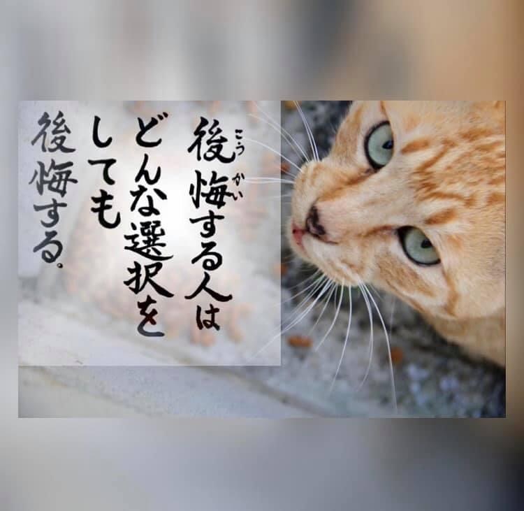 B2A4EA2F-10F2-4C44-AAA2-8D11A08628DC