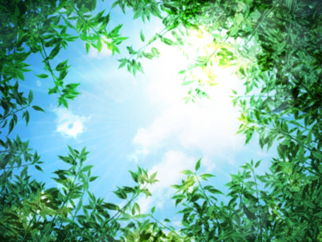 B4A3BBF1-928B-4642-A91B-CC180AFAF196