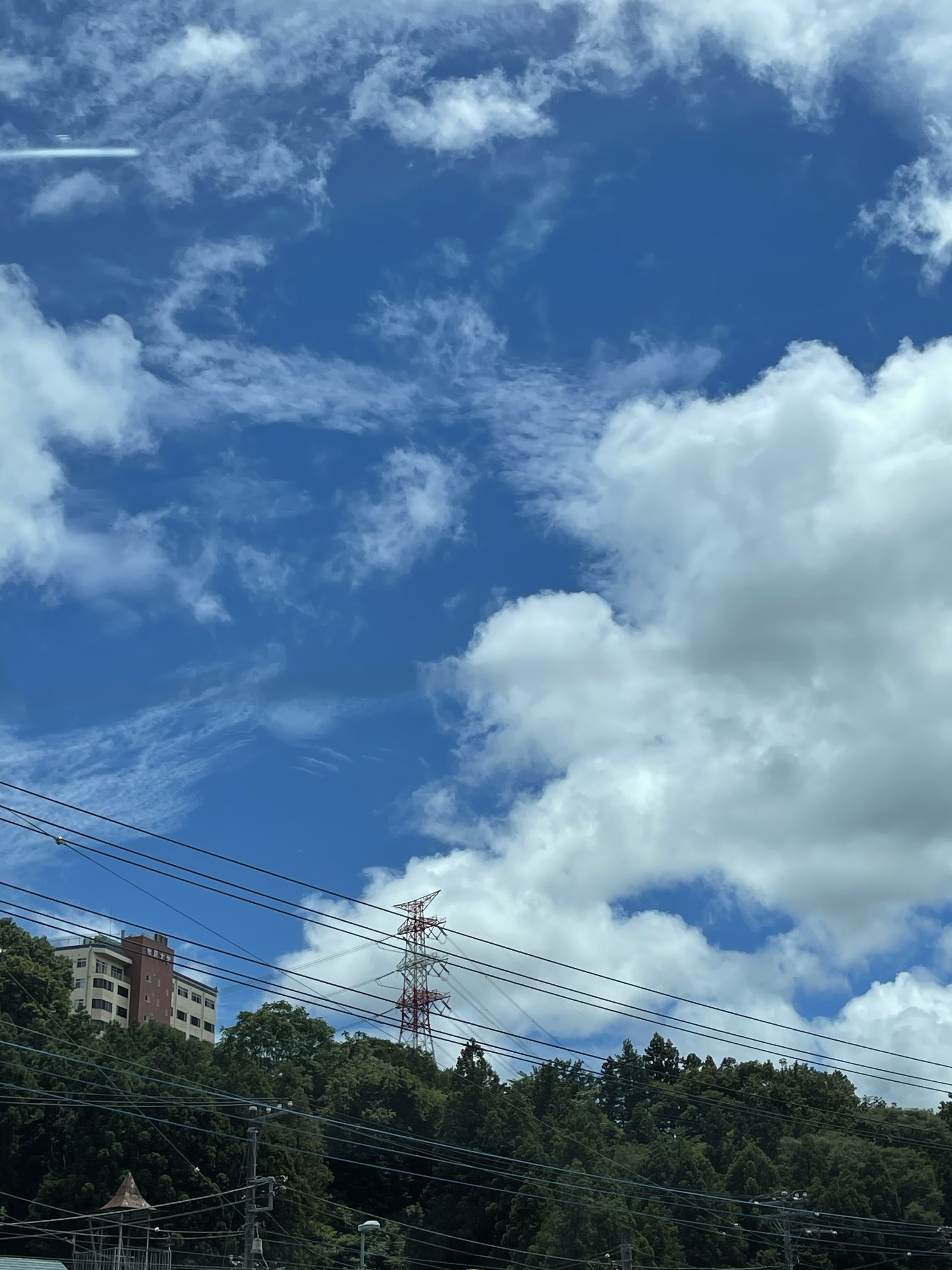 BBAF0C25-E7A2-4E03-B1E6-2E527DACA294