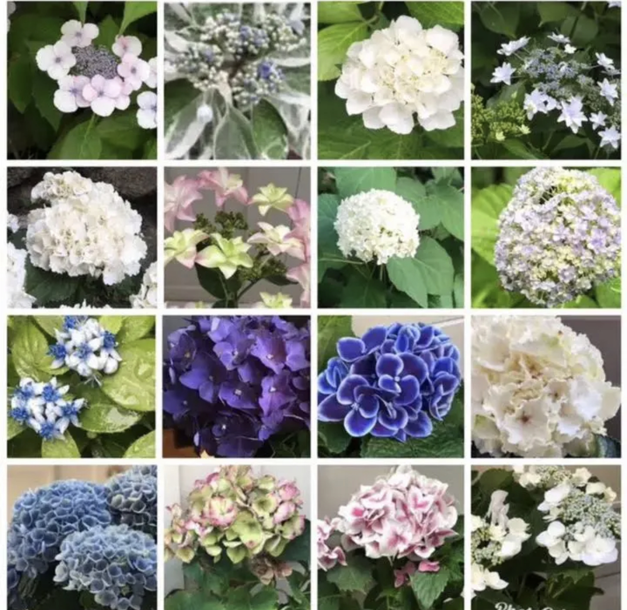 C2F068B3-D66F-4244-A0E7-ECFB15B13F5B