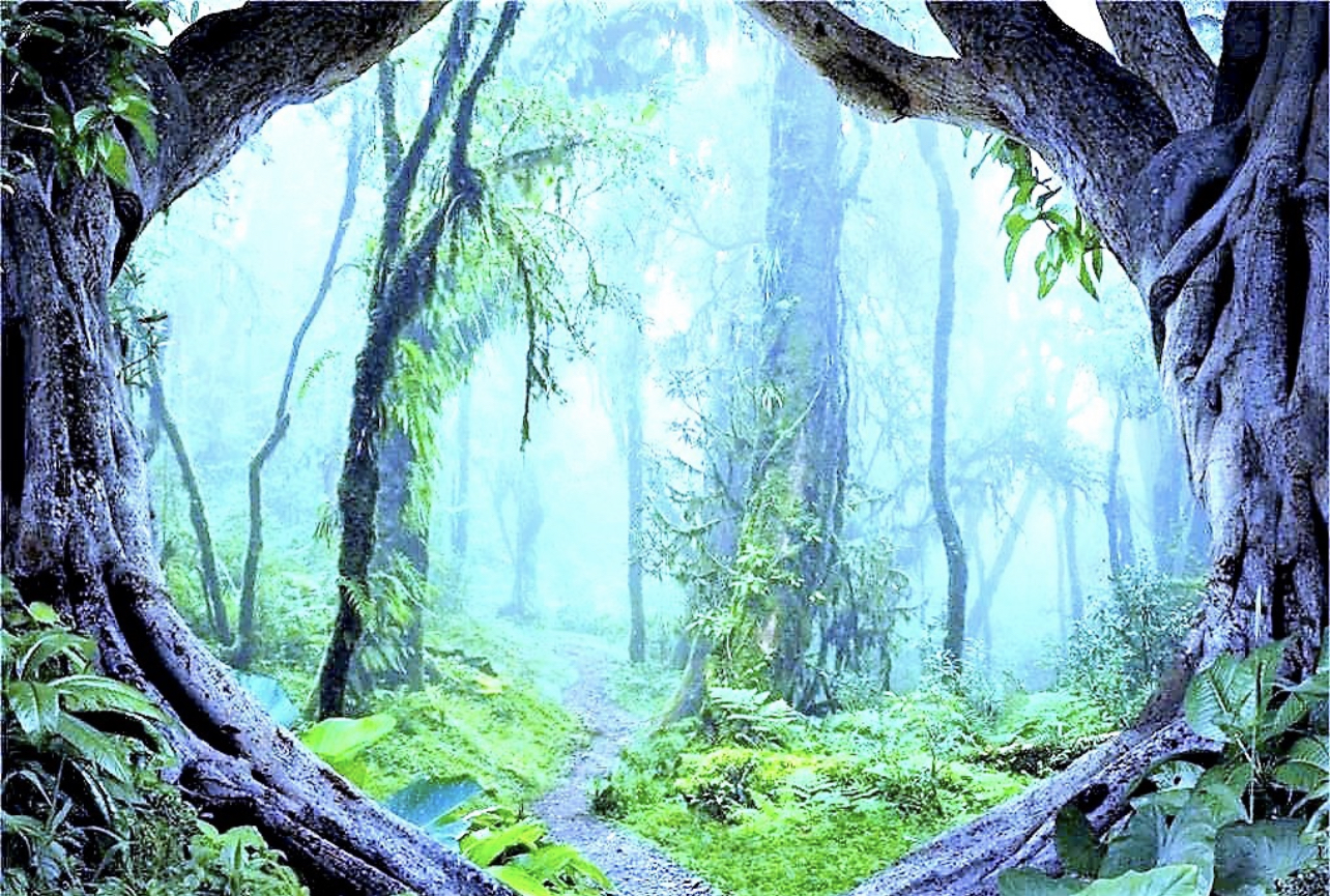 1AFE4F00-F55C-46C2-94D6-340BAE142D16