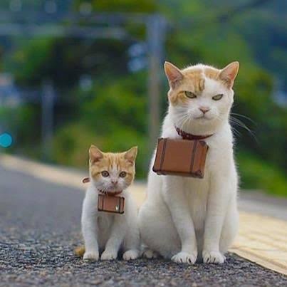 312FBFB3-B892-4846-AD0C-77E25DCD6A7C