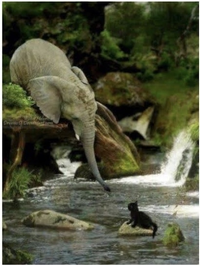 357C0BC9-A3FE-4237-896A-357A6CE5D084