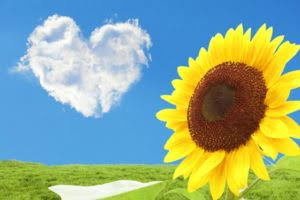 5D6BD800-1C0E-44F7-B50E-31FC84320EF2