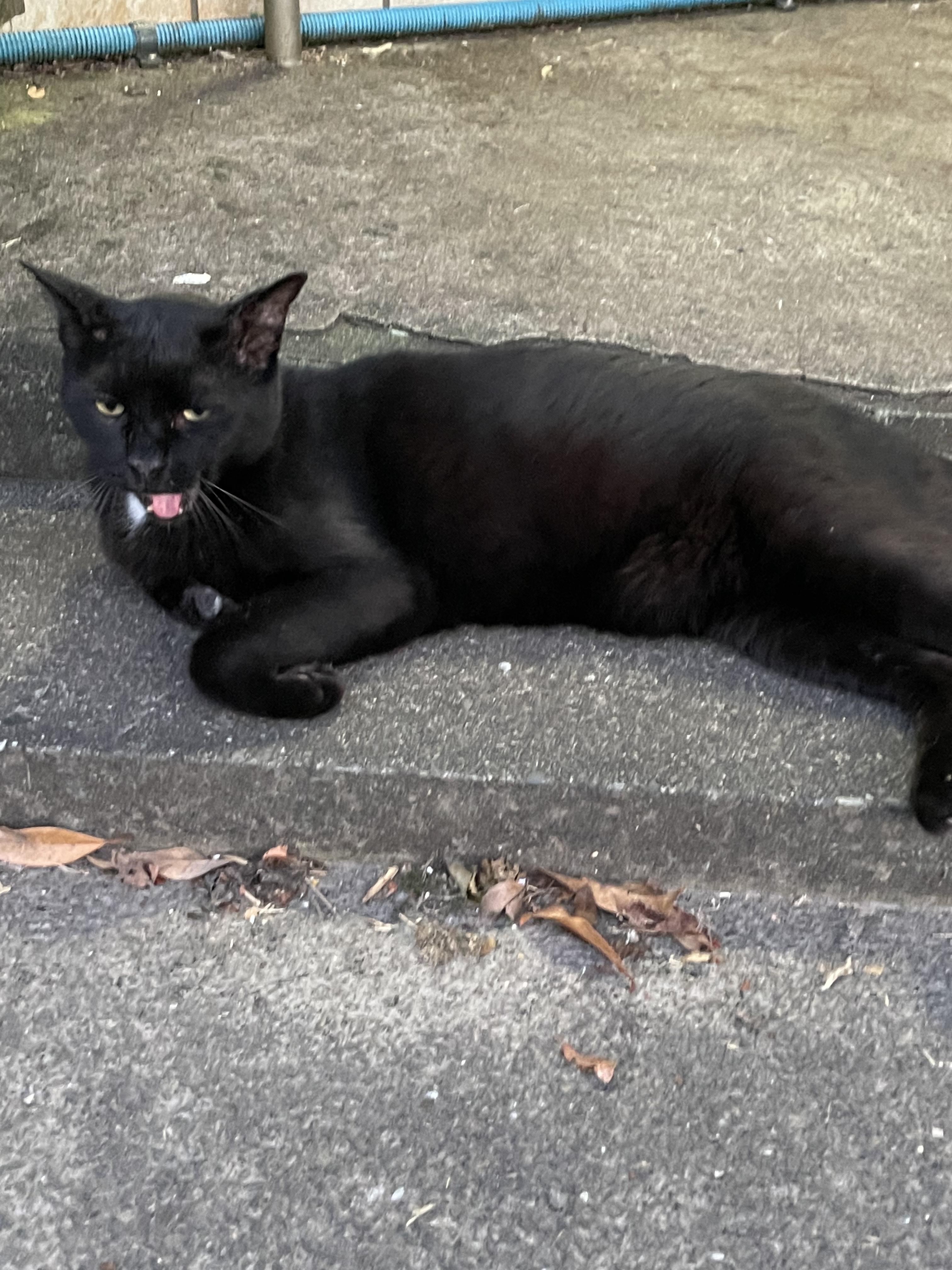 68177D2F-62E6-43BD-90B3-664EED969111