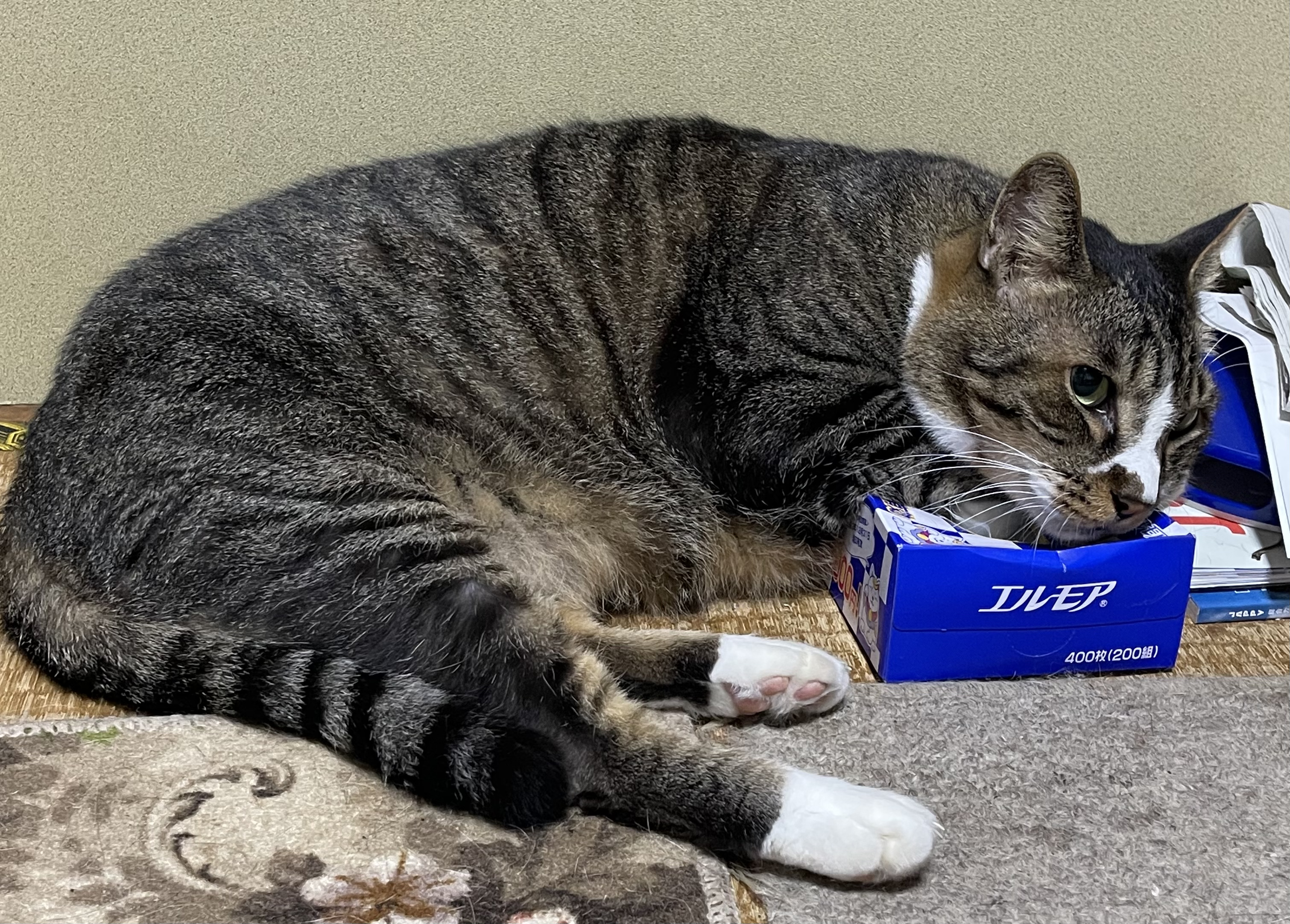 70AA6D91-22ED-427C-A03D-F9208579A03B