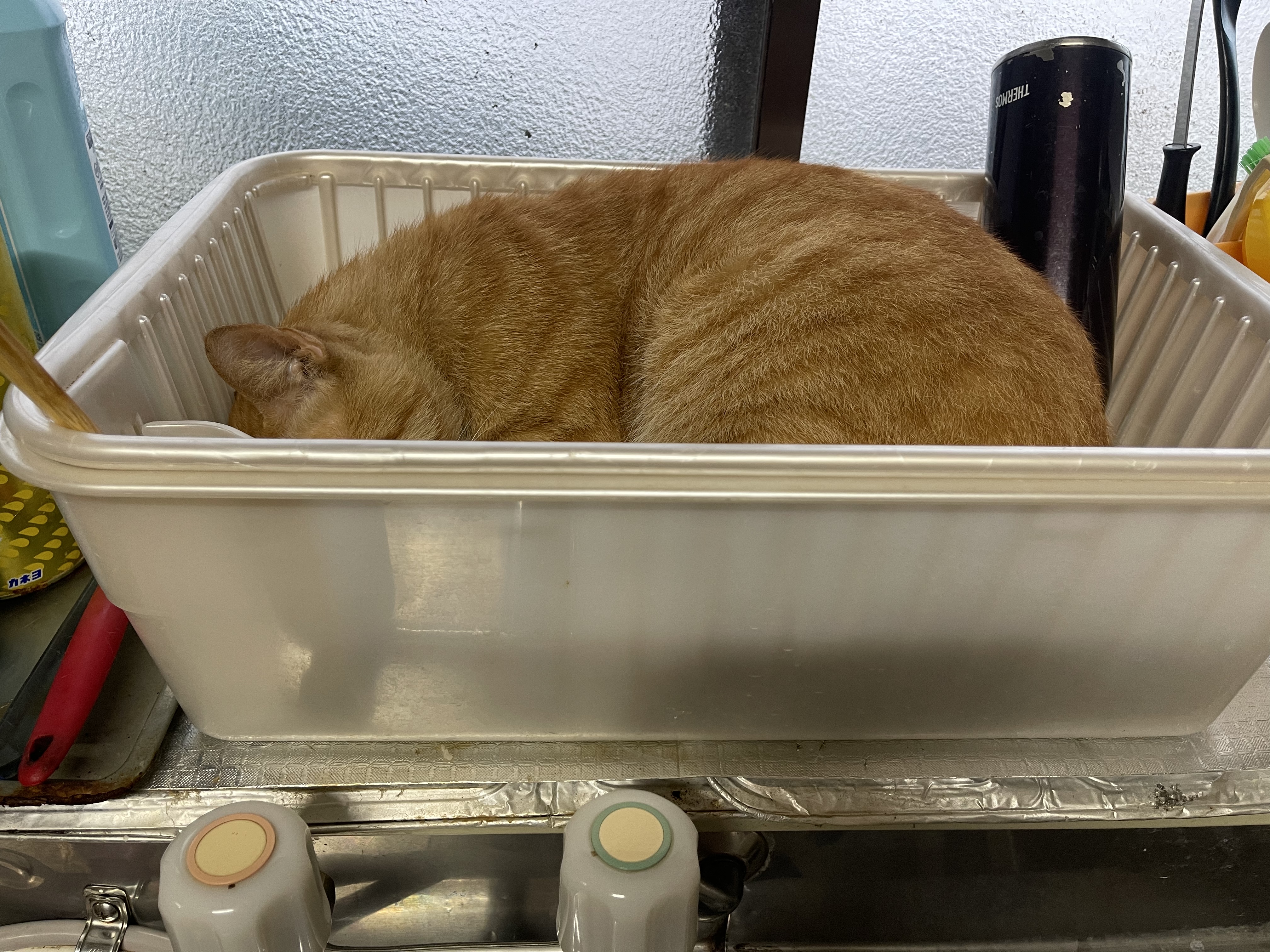 70B5280A-DB82-4534-A8AD-B2456894B953