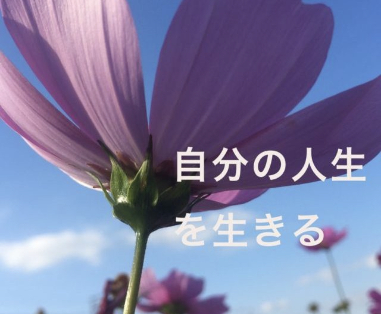 73A55919-44B1-446E-8CB7-ADD567478D17