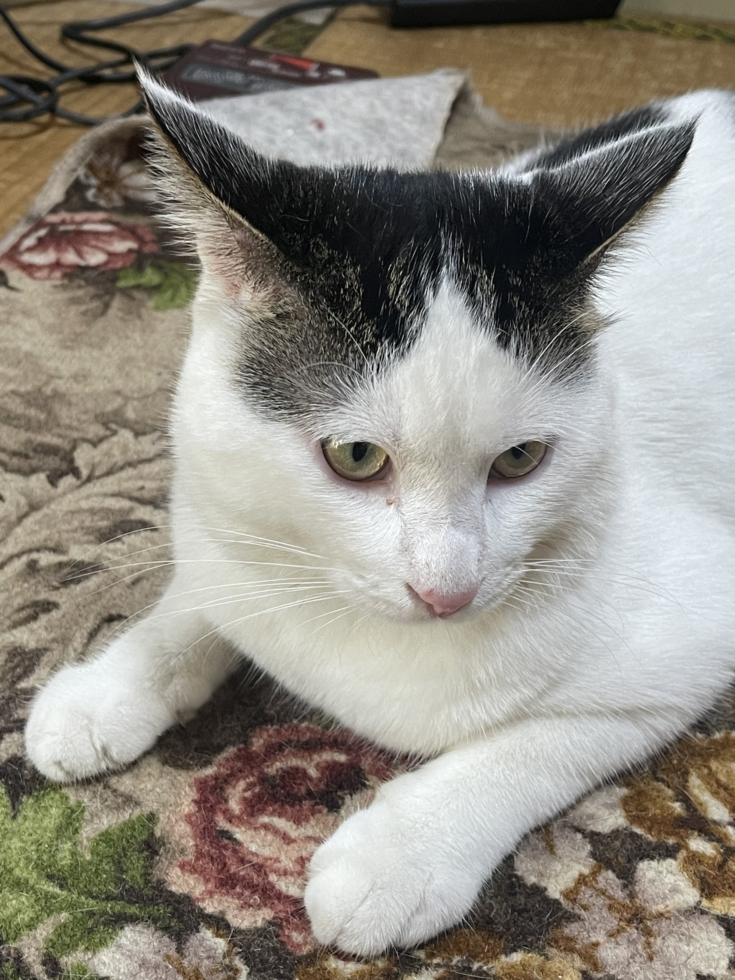 89F31BEC-B376-4C4A-906A-F1DCC2D13241