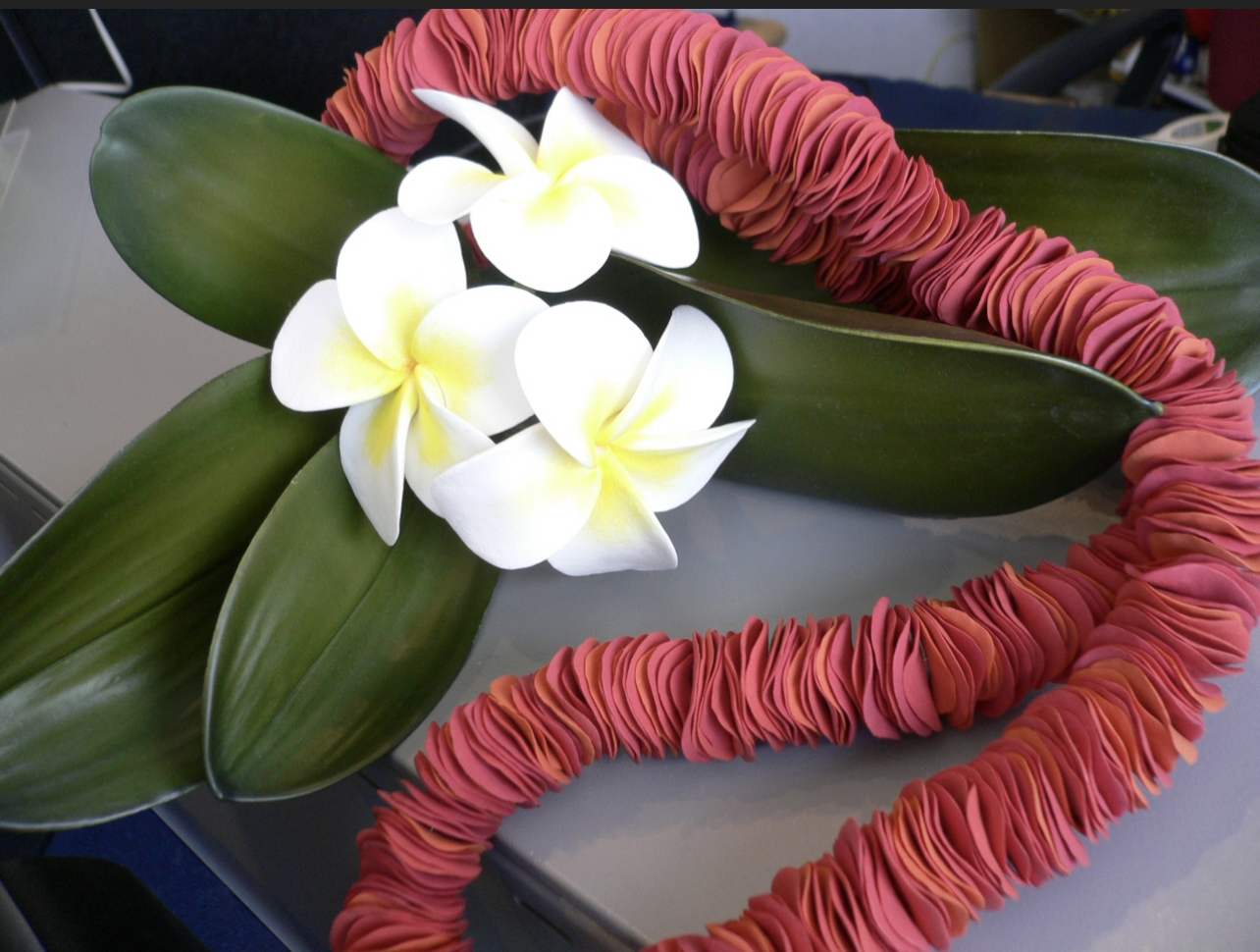 A952CE7C-A2E2-4E28-A3E8-779BB33B57E1