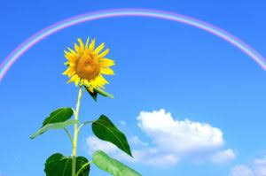 AEE5611A-AC20-4811-B051-A38CCAC1810B