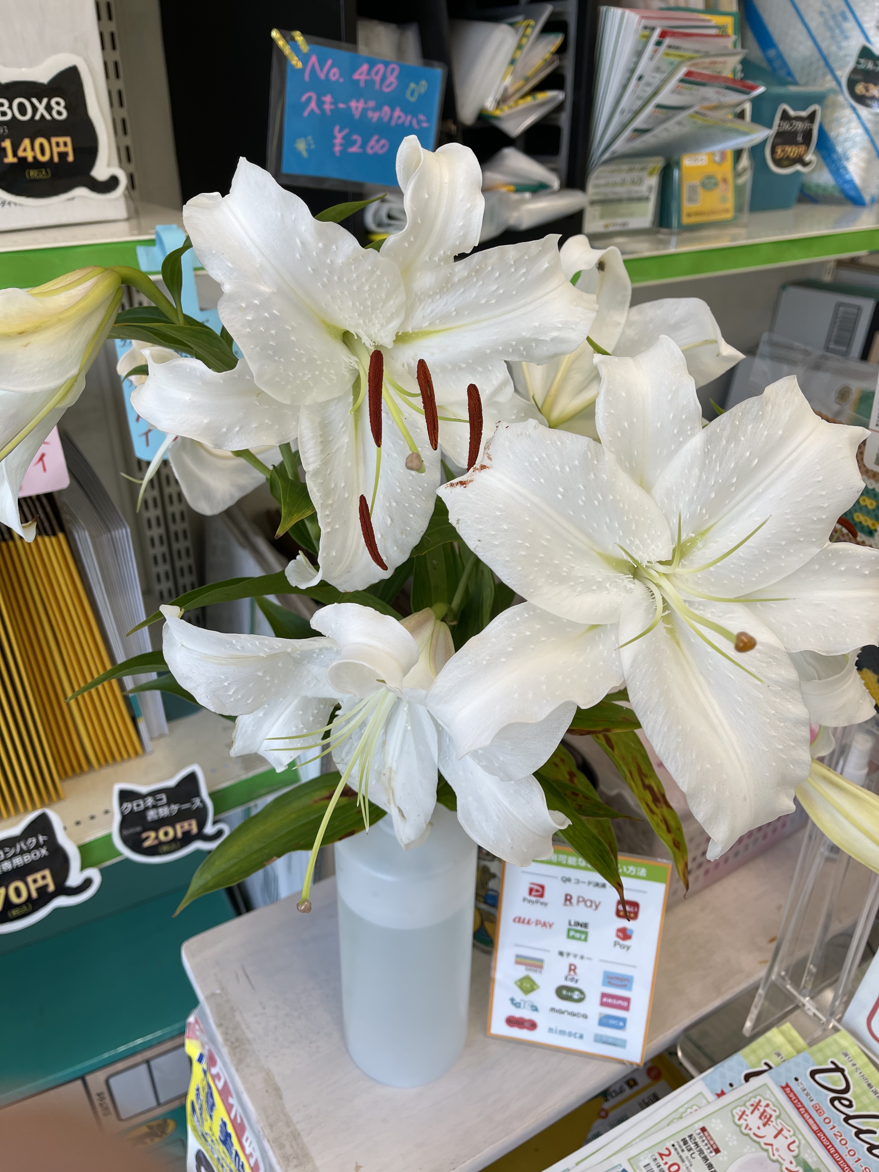 B33B87B6-3719-4BEA-AB3C-040408CB52EE