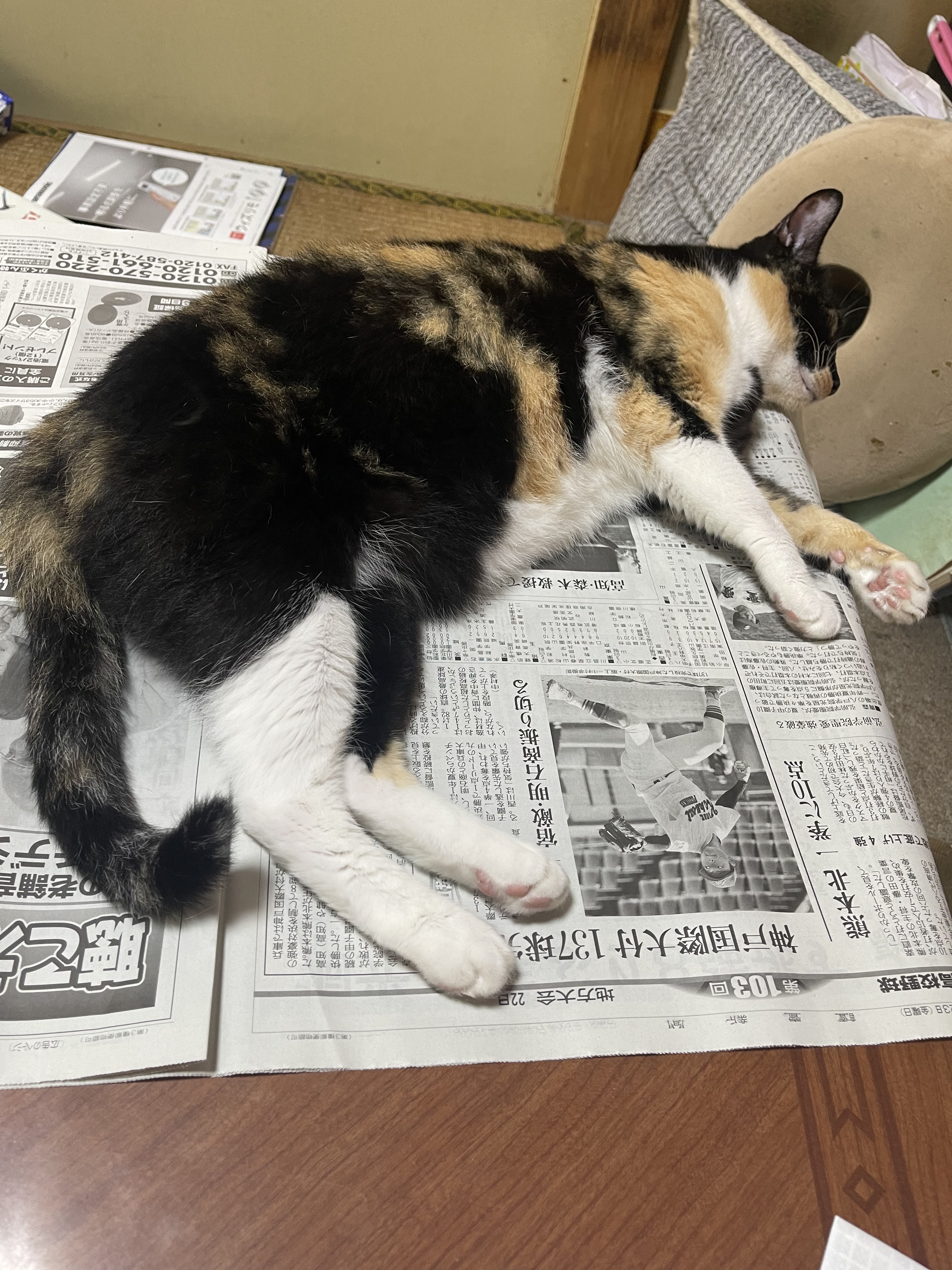 D14EFE55-6198-40EB-ACFD-68ED60E16CDA