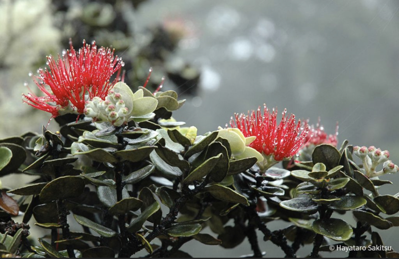 F4602063-5C39-4970-9447-411862279DD5