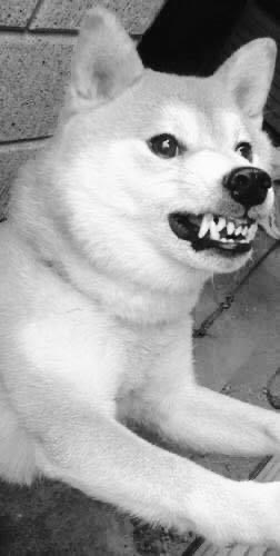 4664C78C-C01C-452B-BB75-F67E6C2B4A38