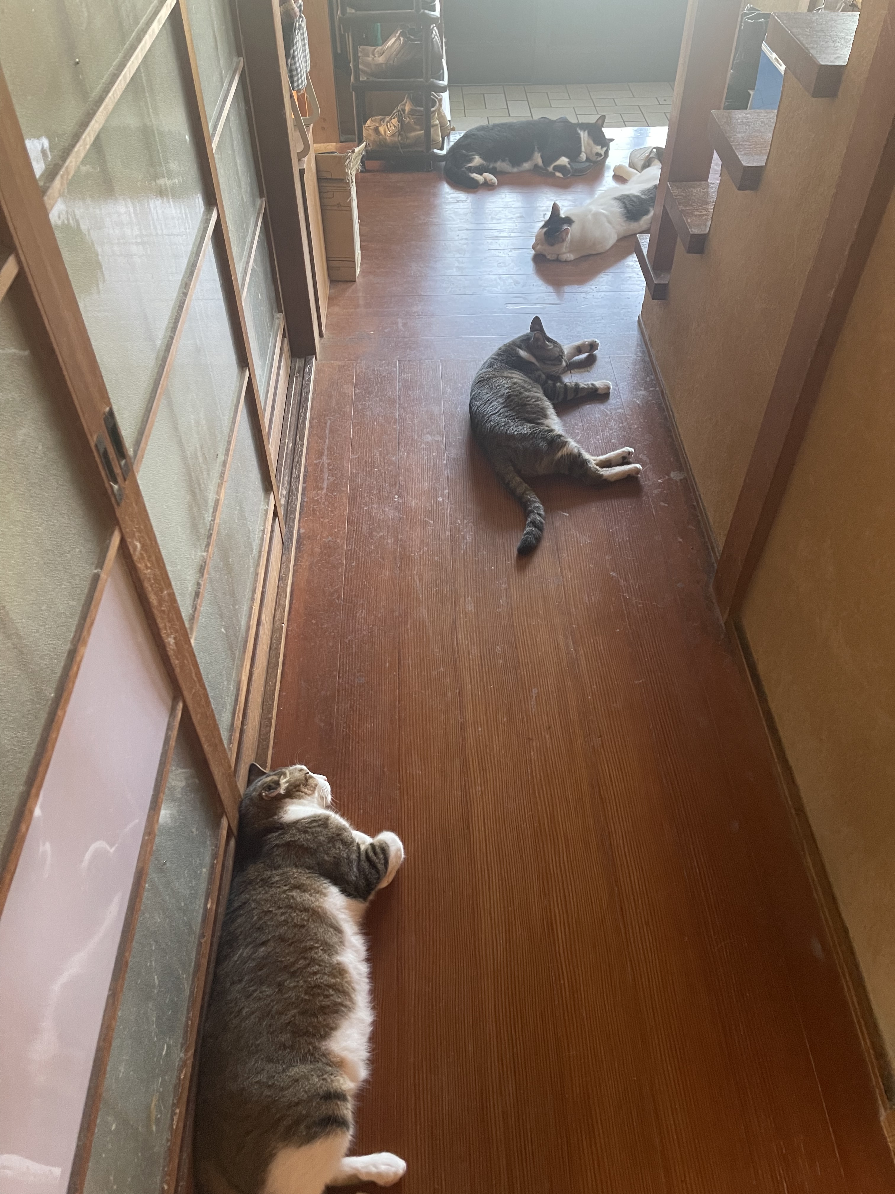 9AB30F48-6DAF-4559-BA08-8D5906B4E8F3