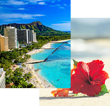 AF5B7747-6A51-4D13-B9A5-DDCA4C25F334