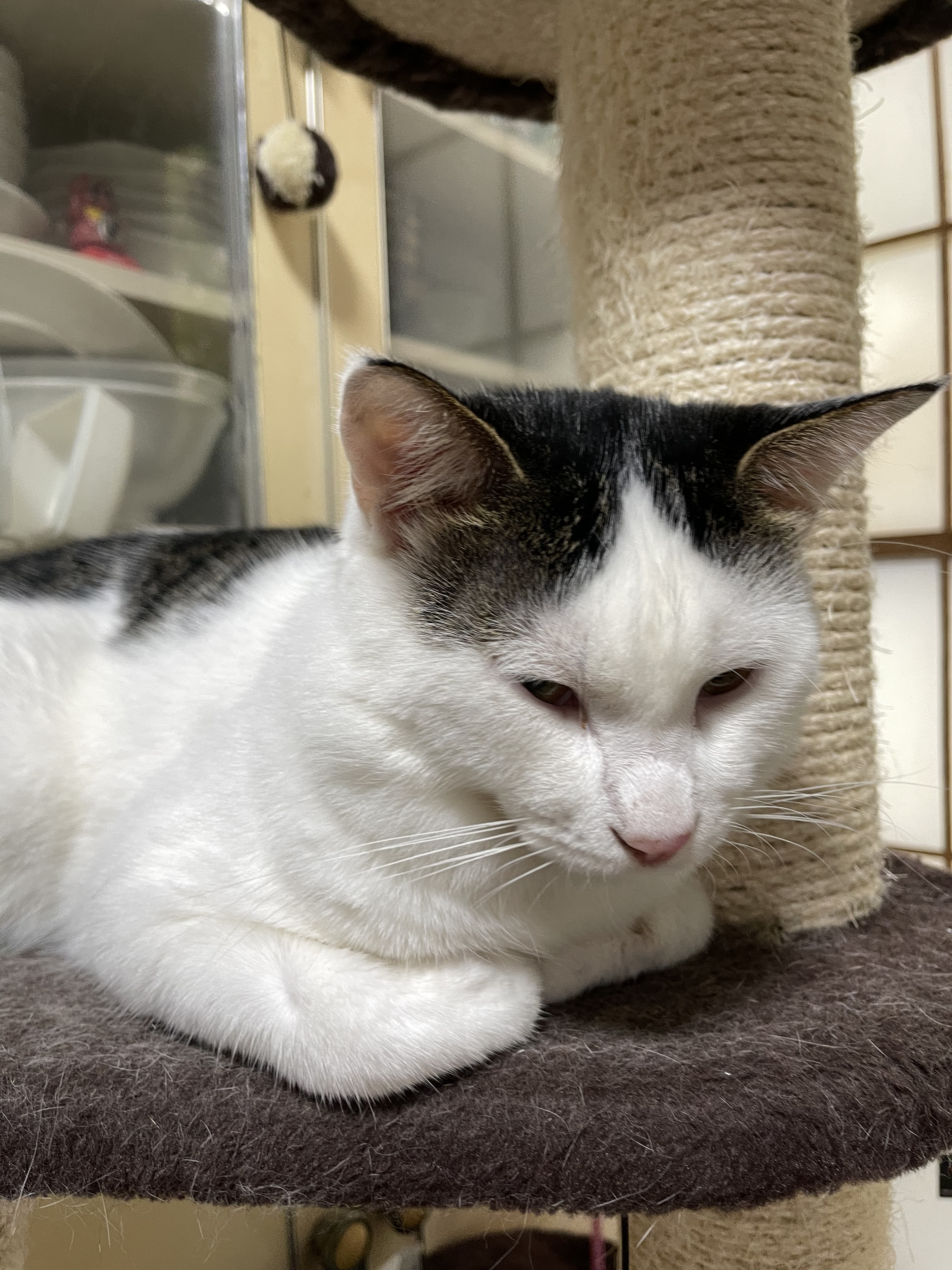 C5F0FAE9-2819-4834-A244-030CB8026115