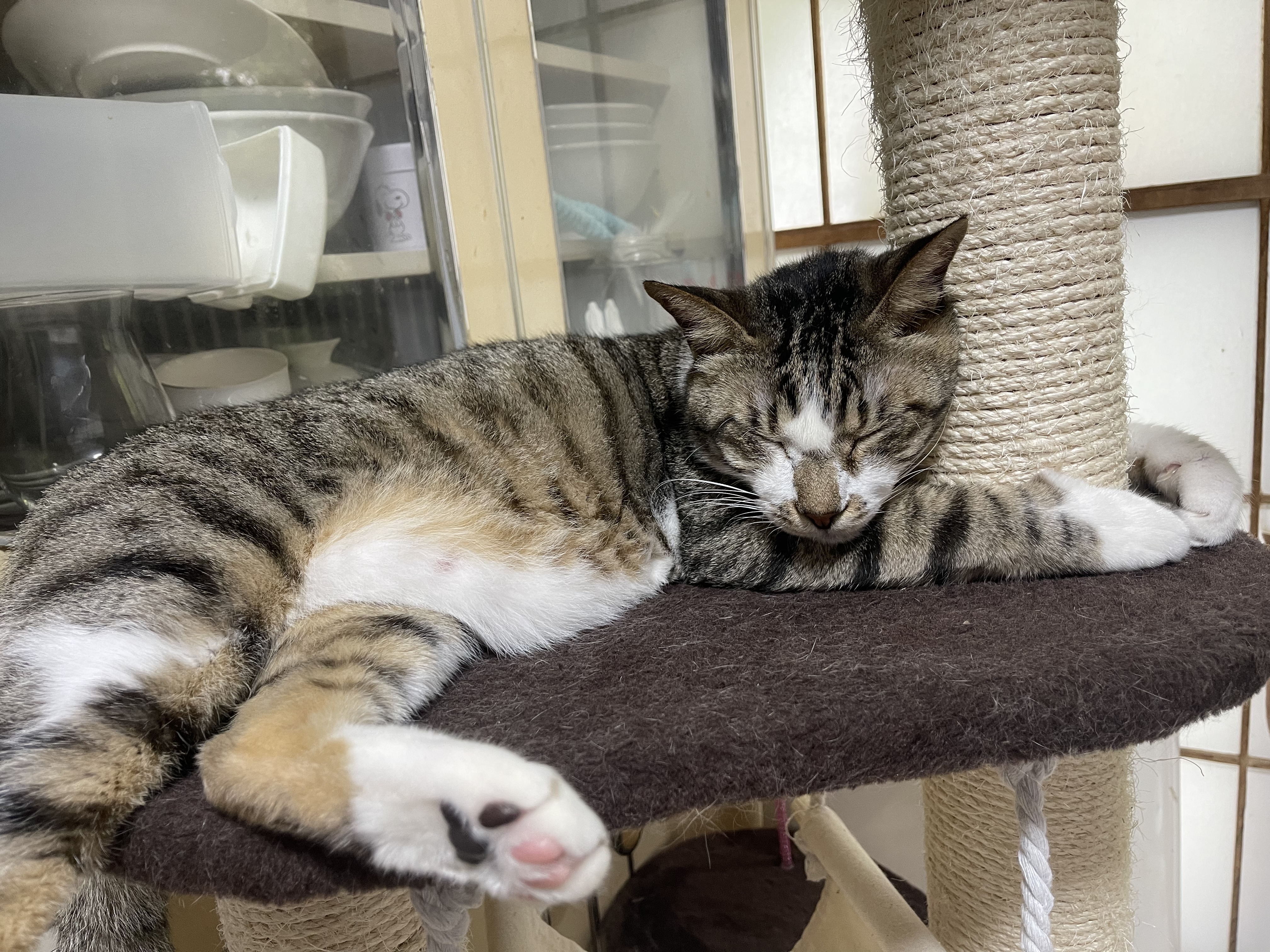 F989382F-F168-487F-800C-CC03FB7BEAC8