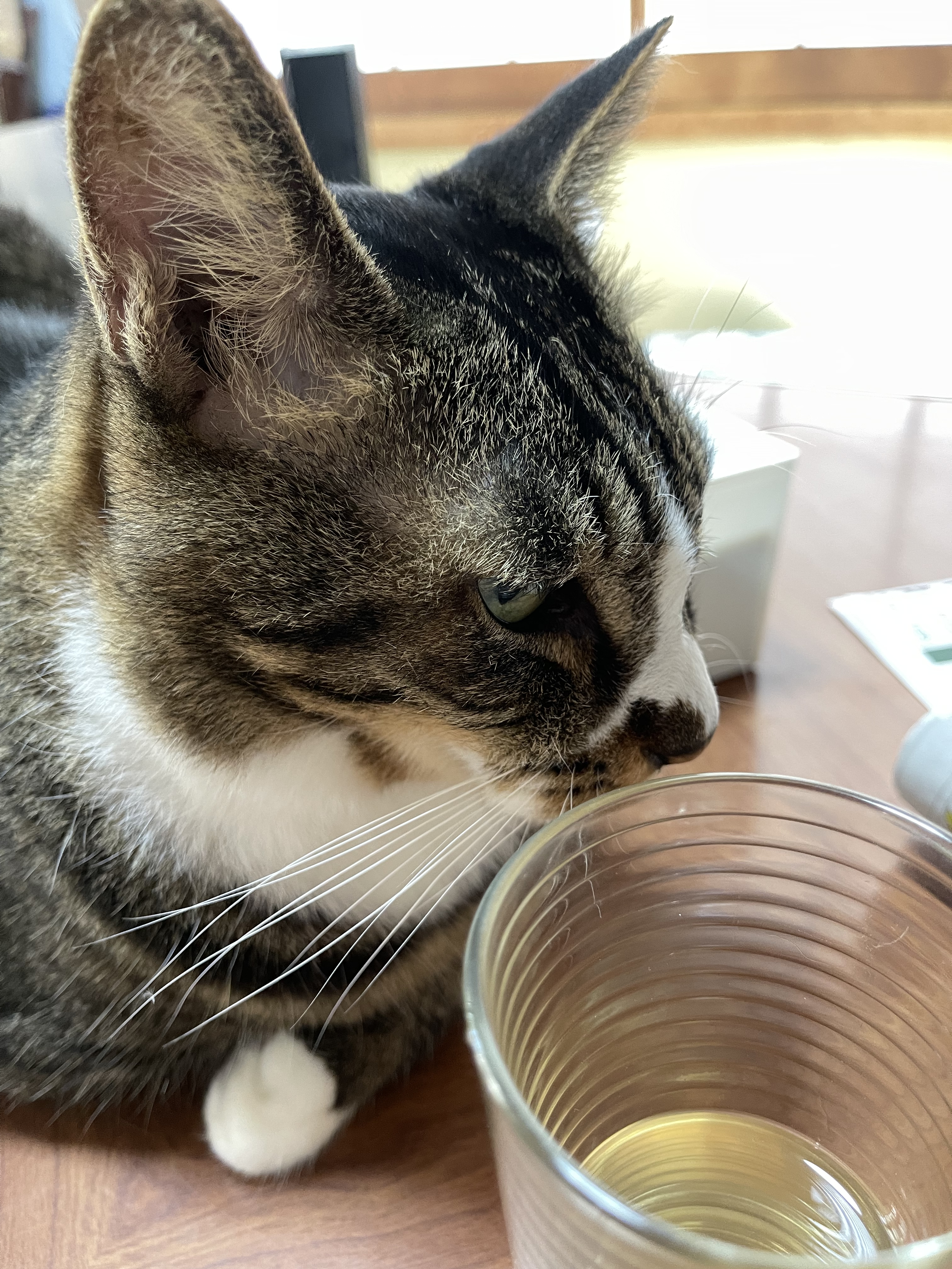 23C1A443-9BDE-4C9C-A928-8F8ECE19B8AD