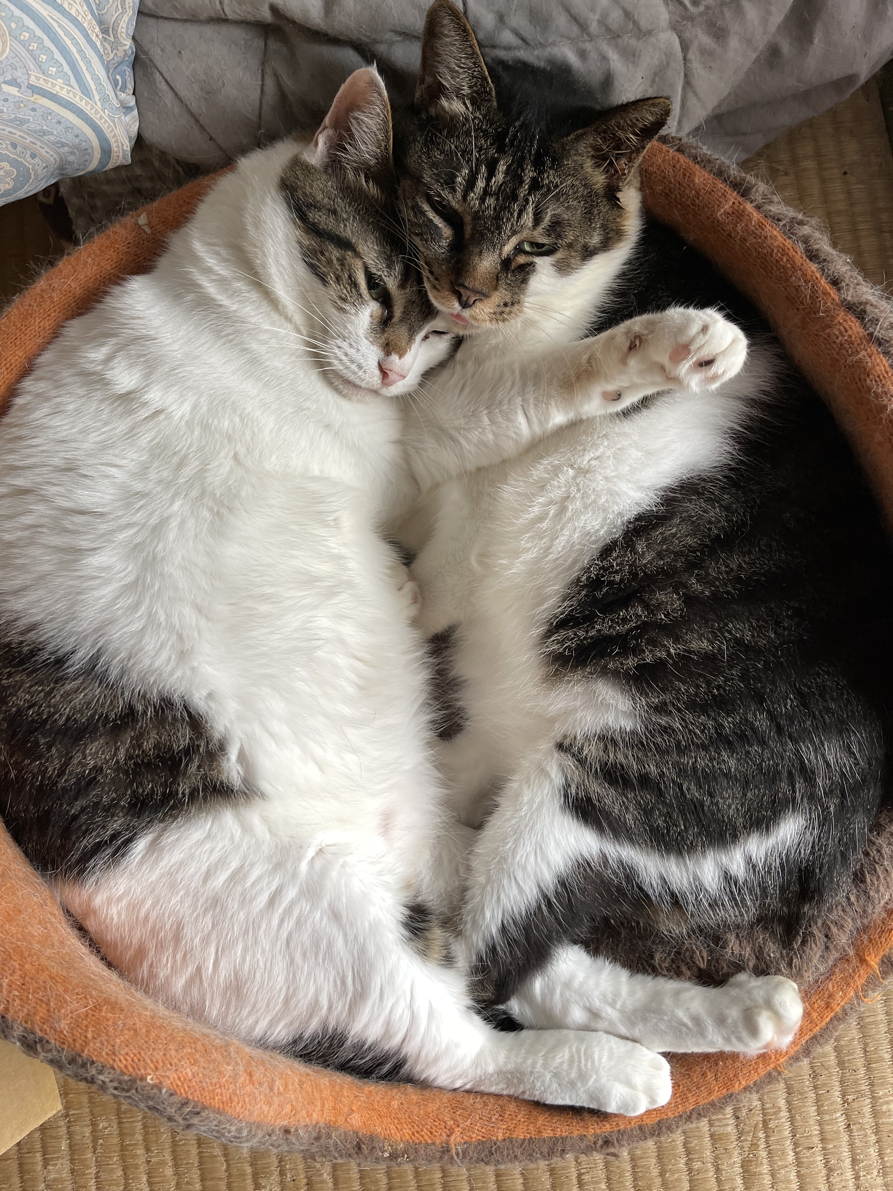 43EE7872-1B4D-4151-BA29-B307E0C91237