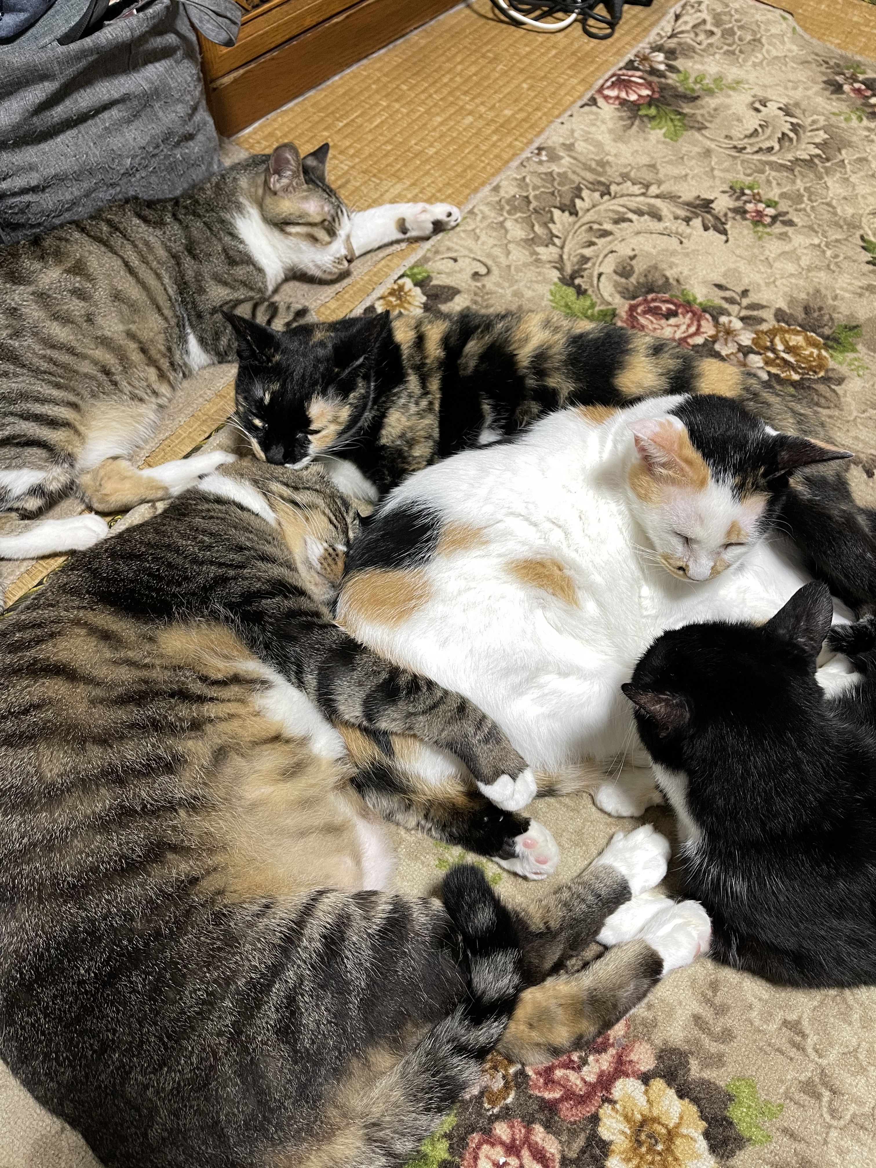 461D7052-EC58-4E96-8473-1A40D01C5C21