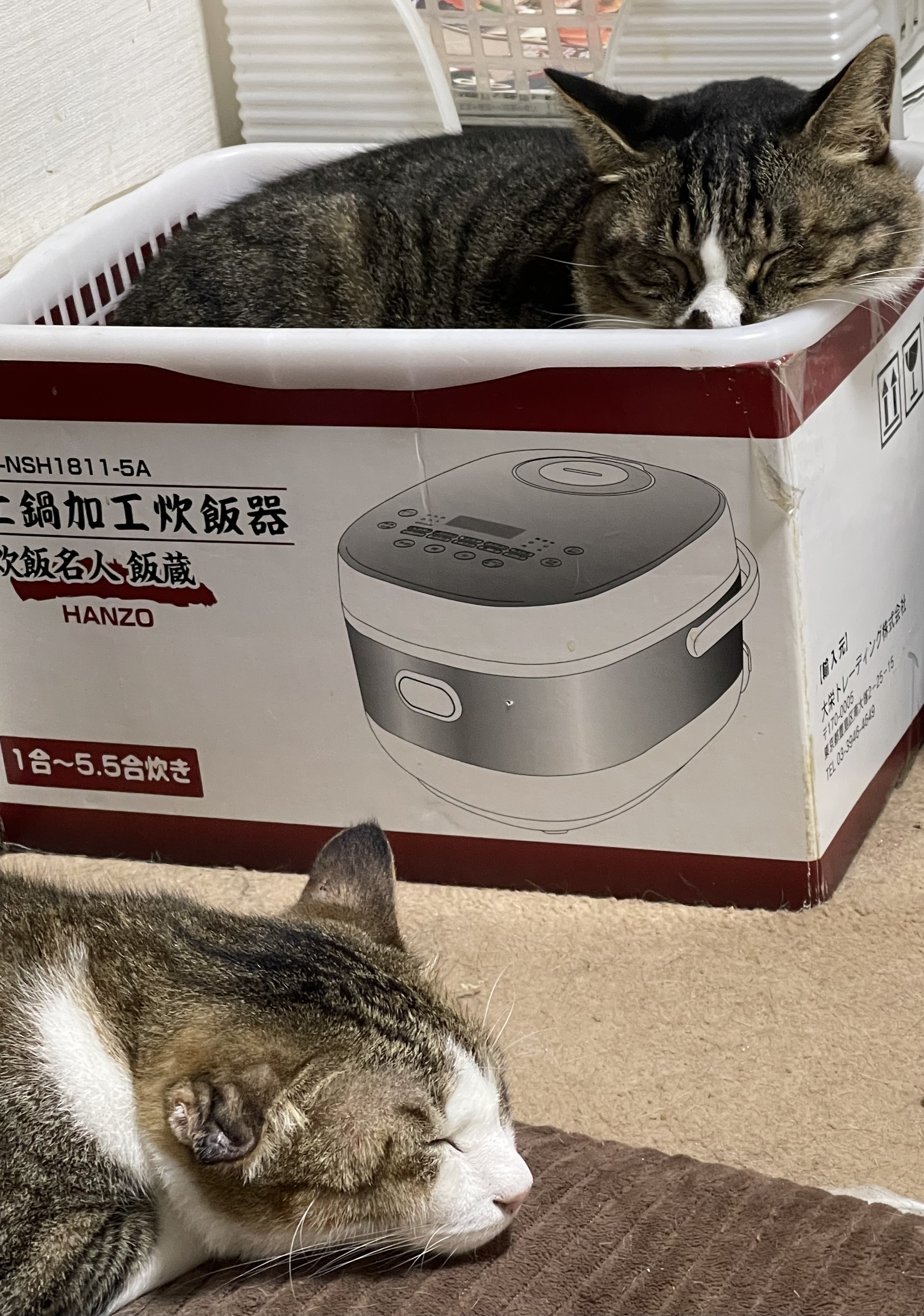 A750B55B-1434-47B6-B386-2CC01C42DB38