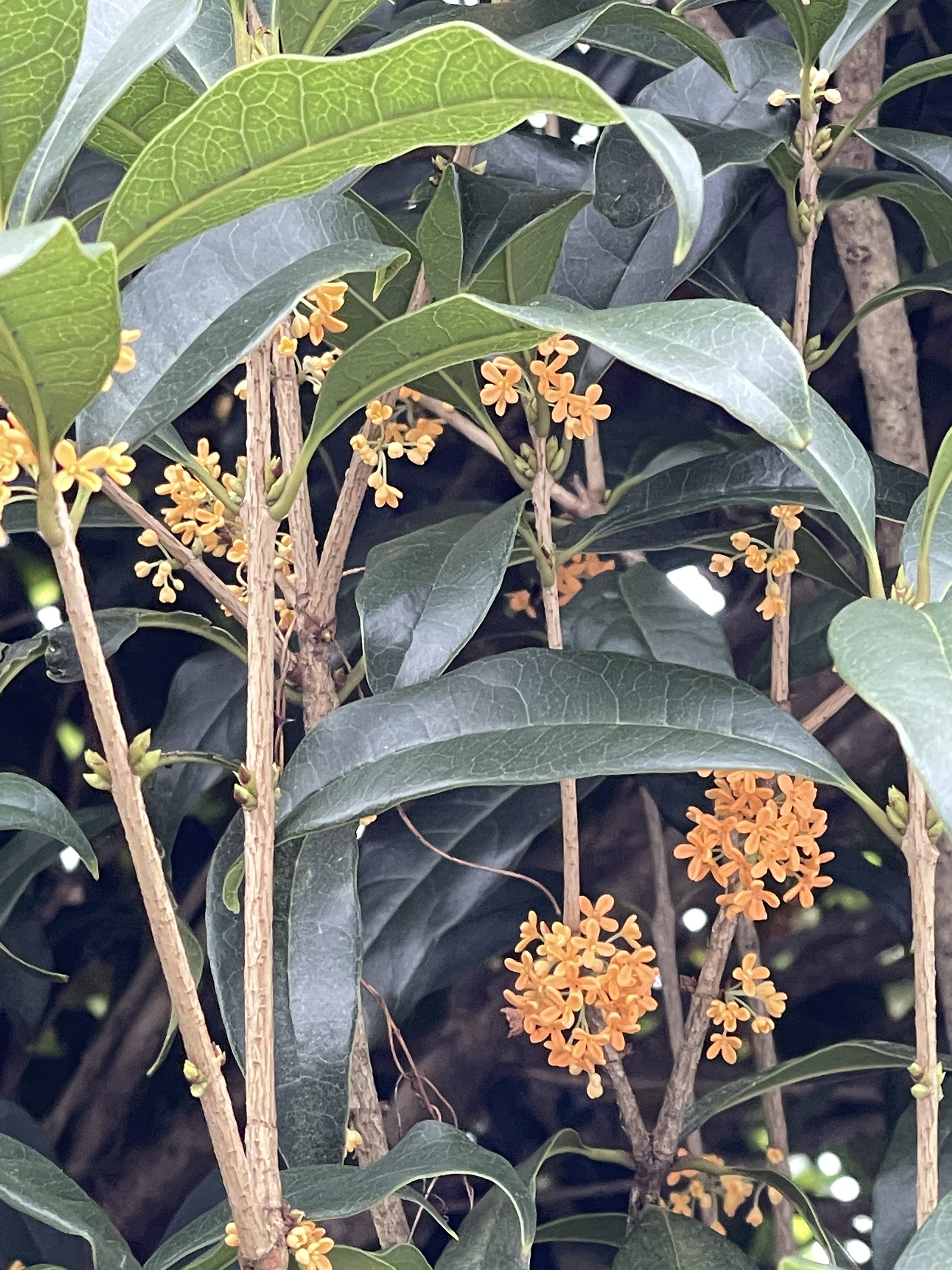 CF30C830-8ABC-4C3F-9079-2A6F62EE8536