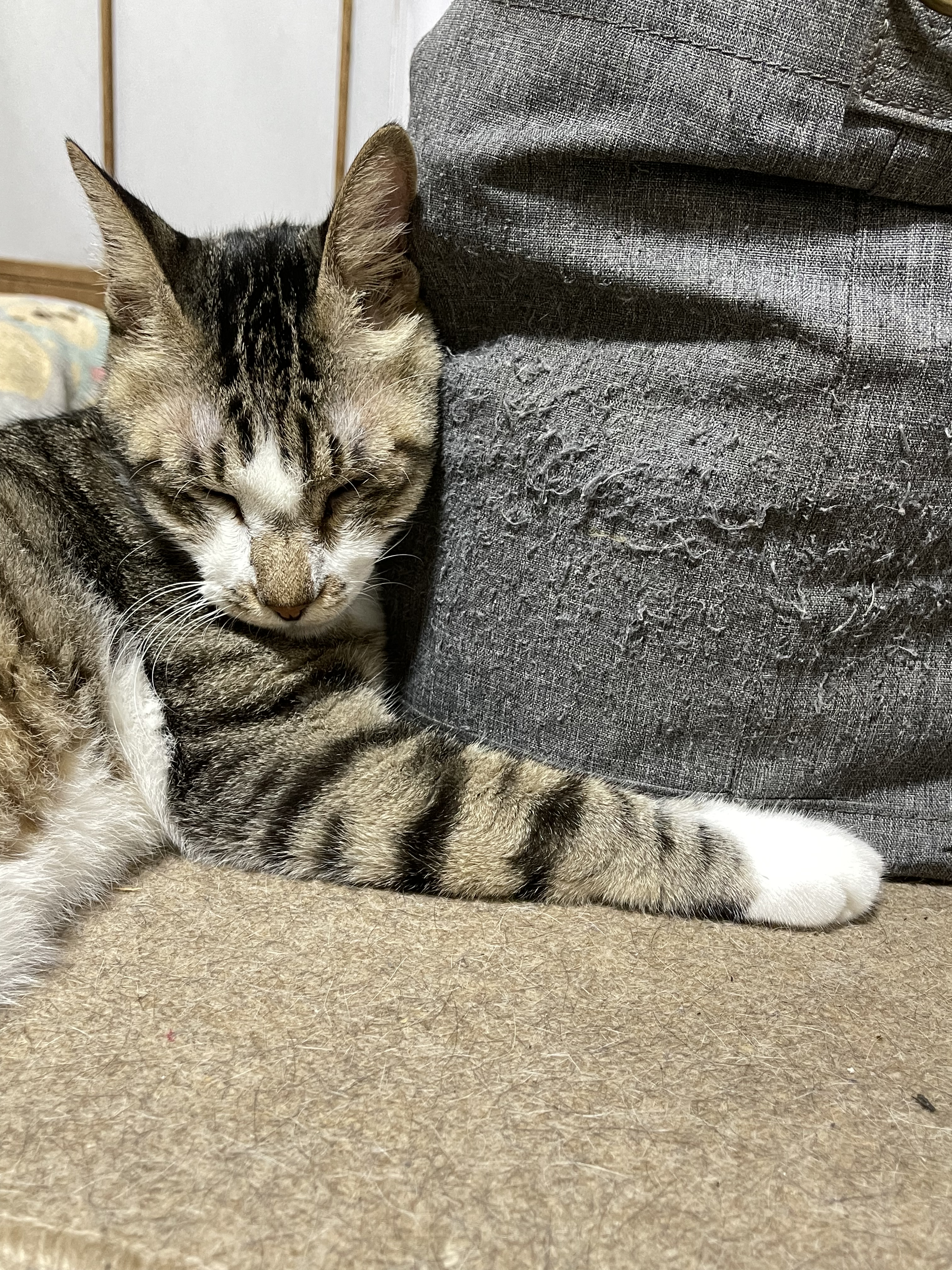 EBF1E36D-3EC4-4AB8-BD97-CAD34BF8D73B