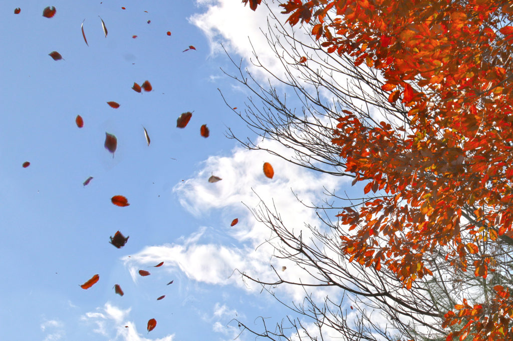 02D4FE2F-0DE0-4E8C-87EB-C82B9252CC16