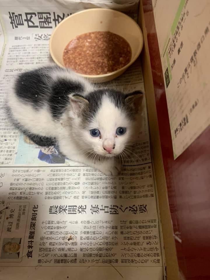 04042D20-DF93-4F9F-9EBE-EDA5F456F58D